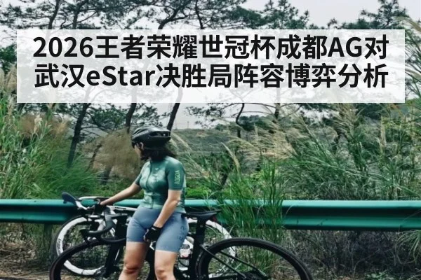 2026王者荣耀世冠杯成都AG对武汉eStar决胜局阵容博弈分析